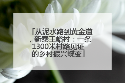 从泥水路到黄金道，新泰王峪村：一条1300米村路见证的乡村振兴蝶变