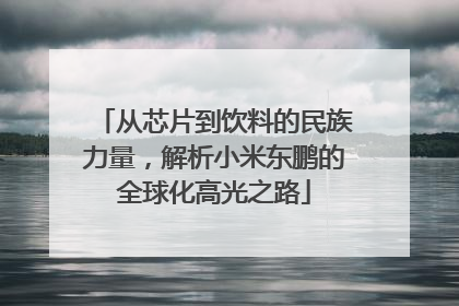 从芯片到饮料的民族力量，解析小米东鹏的全球化高光之路