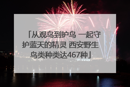 从观鸟到护鸟 一起守护蓝天的精灵 西安野生鸟类种类达467种