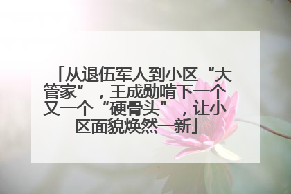 从退伍军人到小区“大管家”，王成勋啃下一个又一个“硬骨头”，让小区面貌焕然一新