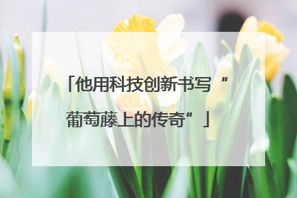 他用科技创新书写“葡萄藤上的传奇”