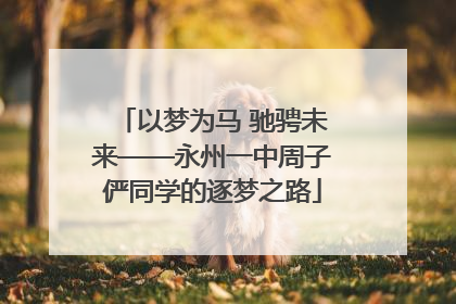 以梦为马 驰骋未来——永州一中周子俨同学的逐梦之路