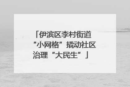 伊滨区李村街道 “小网格”撬动社区治理“大民生”