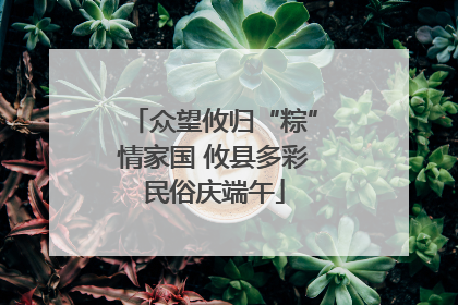 众望攸归“粽”情家国 攸县多彩民俗庆端午