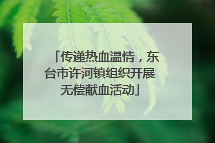 传递热血温情，东台市许河镇组织开展无偿献血活动