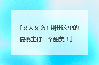 又大又脆！荆州这里的夏桃主打一个甜美！