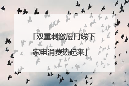 双重刺激厦门线下家电消费热起来
