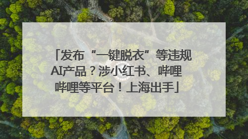 发布“一键脱衣”等违规AI产品？涉小红书、哔哩哔哩等平台！上海出手