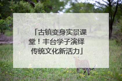 古镇变身实景课堂！丰台学子演绎传统文化新活力
