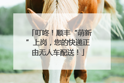 叮咚！顺丰“萌新”上岗，您的快递正由无人车配送！