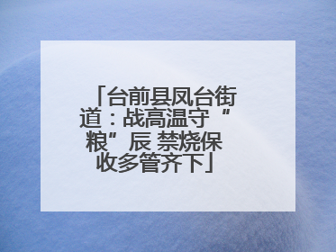 台前县凤台街道：战高温守“粮”辰 禁烧保收多管齐下