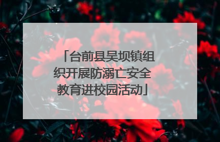 台前县吴坝镇组织开展防溺亡安全教育进校园活动