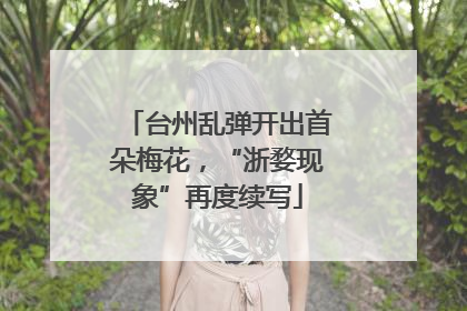 台州乱弹开出首朵梅花，“浙婺现象”再度续写