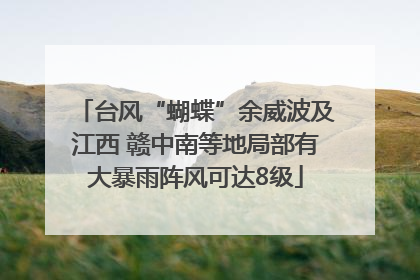 台风“蝴蝶”余威波及江西 赣中南等地局部有大暴雨阵风可达8级