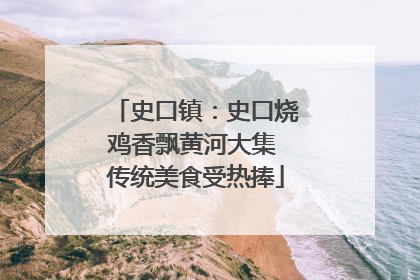 史口镇：史口烧鸡香飘黄河大集 传统美食受热捧