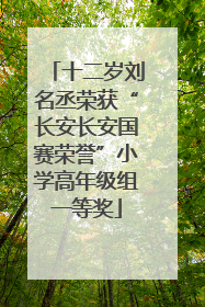 十二岁刘名丞荣获“长安长安国赛荣誉”小学高年级组一等奖