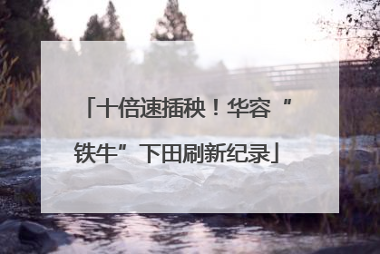 十倍速插秧！华容“铁牛”下田刷新纪录