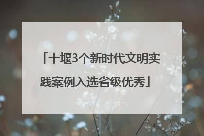 十堰3个新时代文明实践案例入选省级优秀