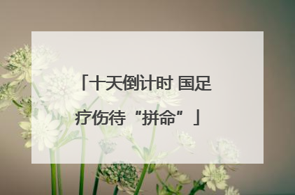 十天倒计时 国足疗伤待“拼命”