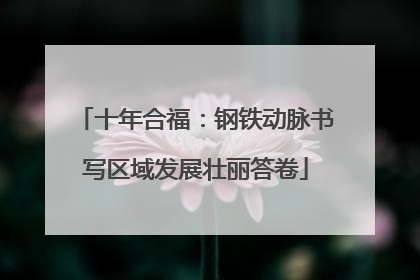 十年合福：钢铁动脉书写区域发展壮丽答卷