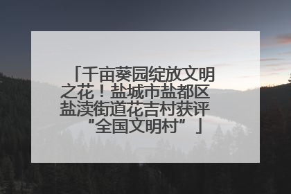 千亩葵园绽放文明之花！盐城市盐都区盐渎街道花吉村获评“全国文明村”