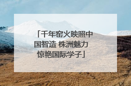 千年窑火映照中国智造 株洲魅力惊艳国际学子