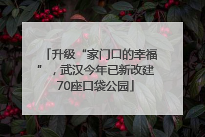 升级“家门口的幸福”，武汉今年已新改建70座口袋公园