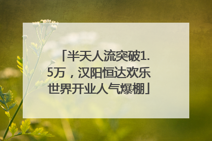 半天人流突破1.5万，汉阳恒达欢乐世界开业人气爆棚