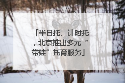 半日托、计时托，北京推出多元“带娃”托育服务