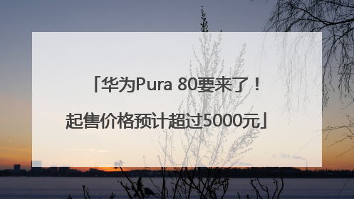 华为Pura 80要来了！起售价格预计超过5000元