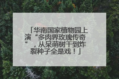 华南国家植物园上演“多肉界玫瑰传奇”，从呆萌树干到炸裂种子全是戏！