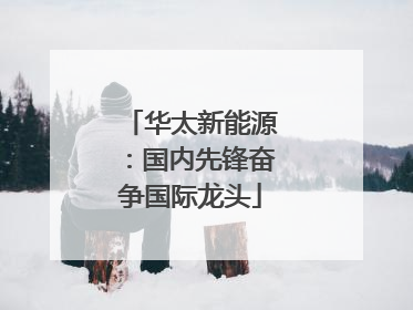 华太新能源：国内先锋奋争国际龙头