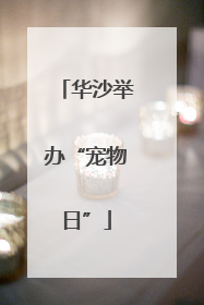华沙举办“宠物日”