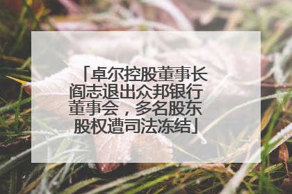 卓尔控股董事长阎志退出众邦银行董事会，多名股东股权遭司法冻结