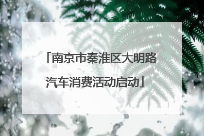 南京市秦淮区大明路汽车消费活动启动