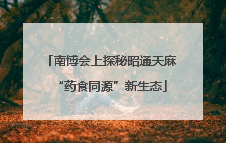 南博会上探秘昭通天麻“药食同源”新生态