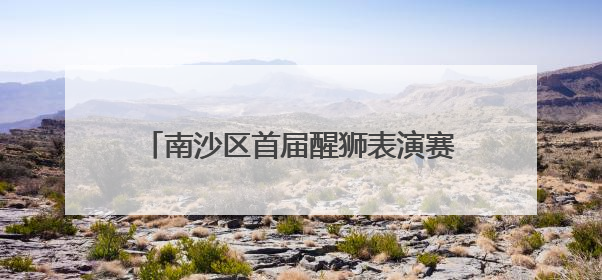 南沙区首届醒狮表演赛圆满落幕，38支醒狮队伍角逐“南沙狮王”