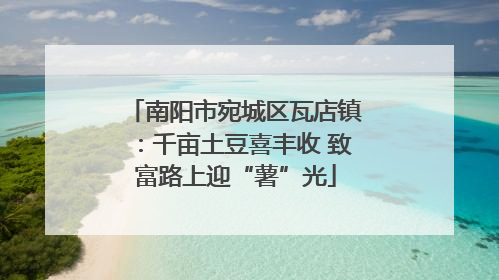 南阳市宛城区瓦店镇：千亩土豆喜丰收 致富路上迎“薯”光