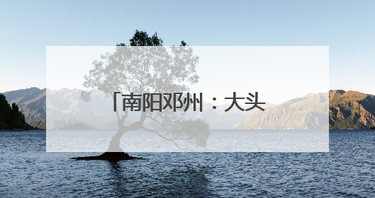 南阳邓州：大头落地 收储归仓丨战三夏保丰收