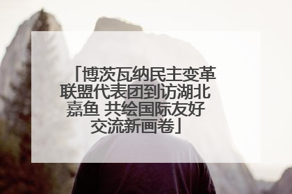 博茨瓦纳民主变革联盟代表团到访湖北嘉鱼 共绘国际友好交流新画卷