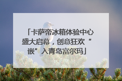 卡萨帝冰箱体验中心盛大启幕，创意狂欢“嵌”入青岛富尔玛