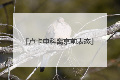 卢卡申科离京前表态