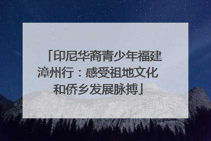 印尼华裔青少年福建漳州行：感受祖地文化和侨乡发展脉搏