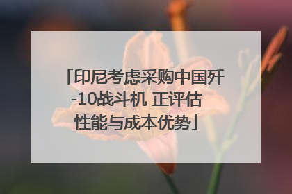 印尼考虑采购中国歼-10战斗机 正评估性能与成本优势