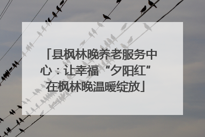 县枫林晚养老服务中心：让幸福“夕阳红”在枫林晚温暖绽放