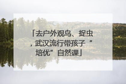 去户外观鸟、捉虫，武汉流行带孩子“培优”自然课