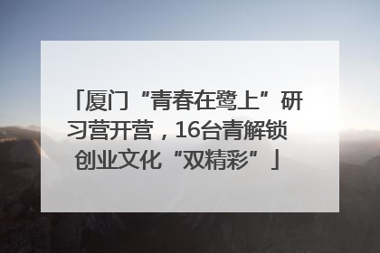厦门“青春在鹭上”研习营开营，16台青解锁创业文化“双精彩”