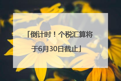 倒计时！个税汇算将于6月30日截止