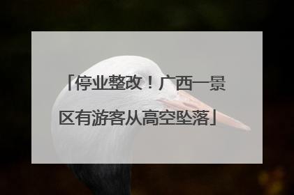 停业整改！广西一景区有游客从高空坠落