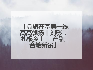 党旗在基层一线高高飘扬丨刘影：扎根乡土 三产融合绘新景